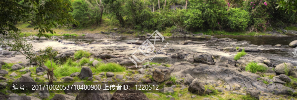 石頭