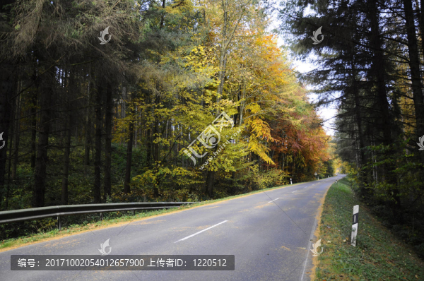 背景-秋天的森林-道路