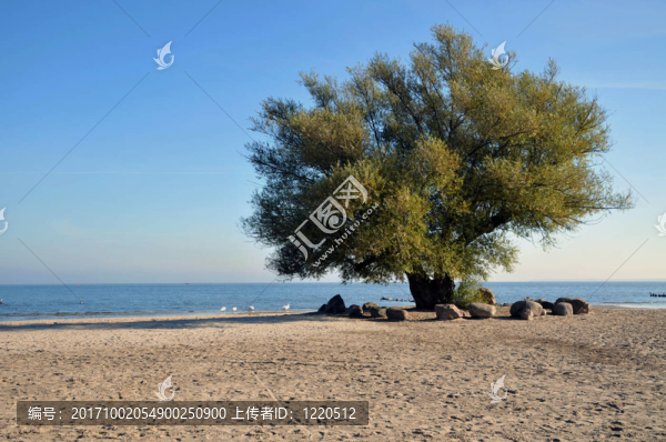 在海灘上