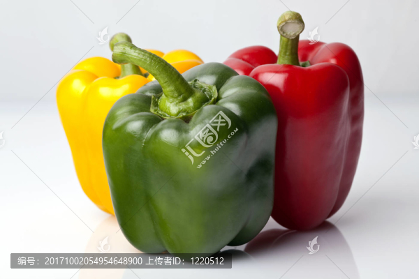 paprika101
