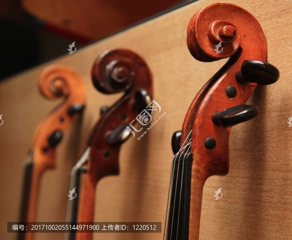 音樂(lè)