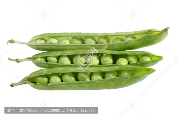 農(nóng)業(yè)