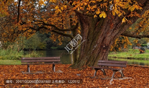 herbststimmung