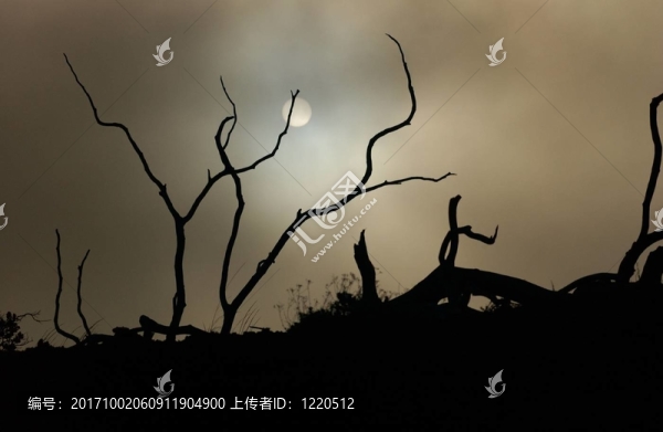大的