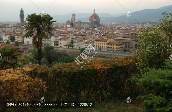 旅游