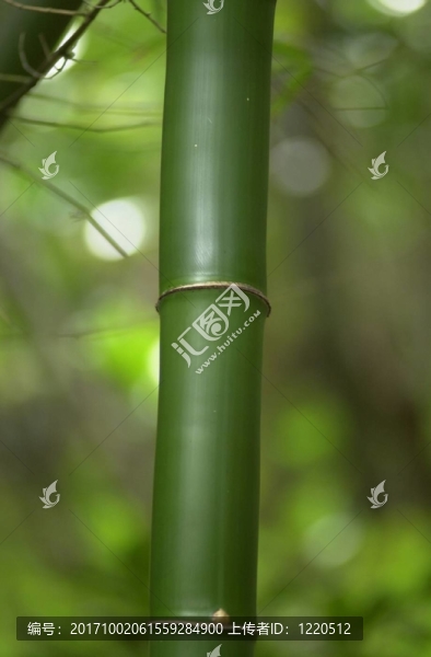 市鎮(zhèn)的生活方式