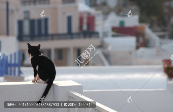 建筑