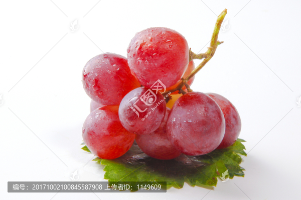 葡萄紅提