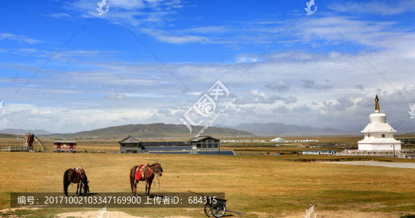 高原風(fēng)光