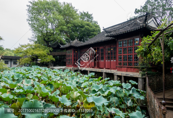 蘇州拙政園