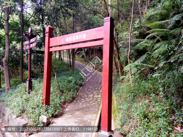 指示牌,指路標(biāo),木牌坊