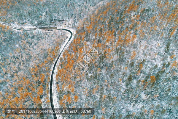 秋季林海雪景,航拍