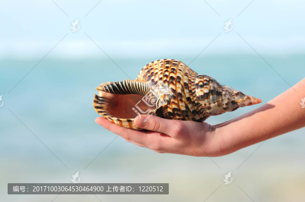 女人
