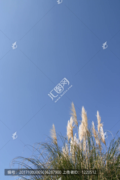 藍(lán)色的