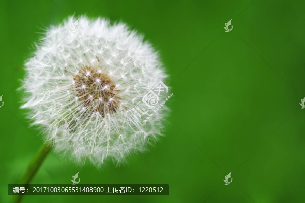 顏色