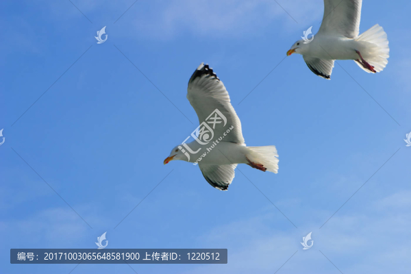 藍色的光芒