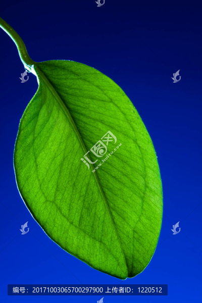 近