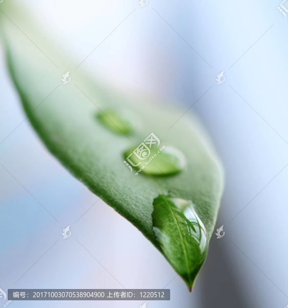 近