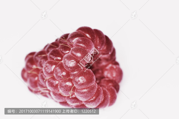 覆盆子