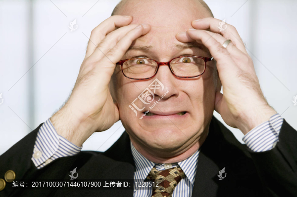家伙