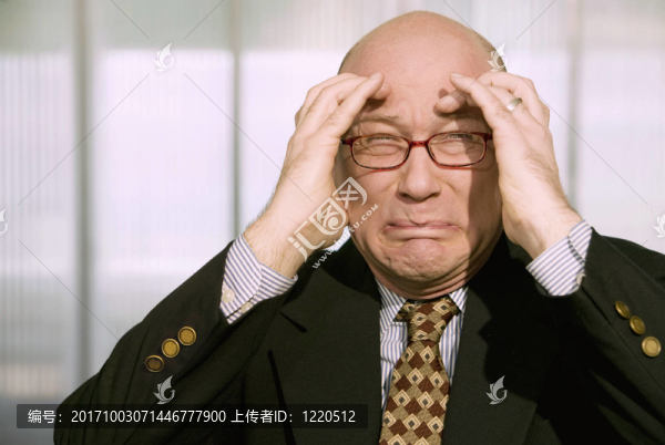 家伙