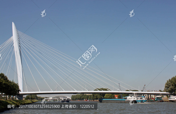 橋