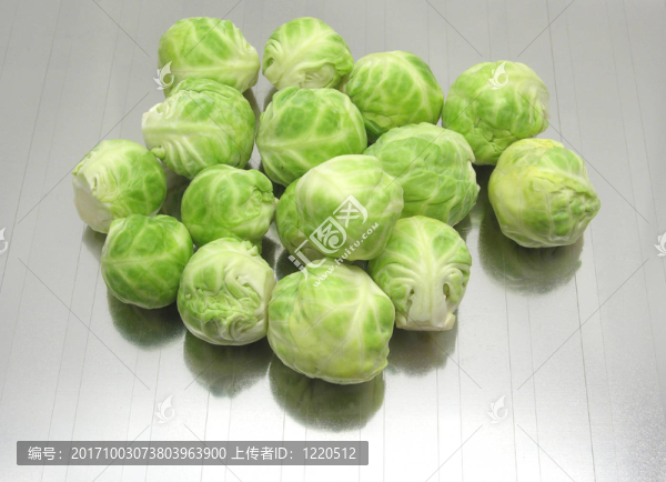 反思背景下的布魯塞爾新芽特寫(xiě)