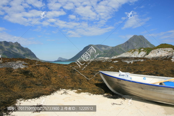 山