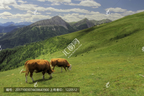 阿爾卑斯山脈