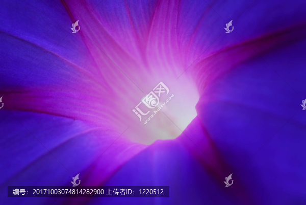藍(lán)色
