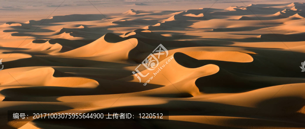 沙丘