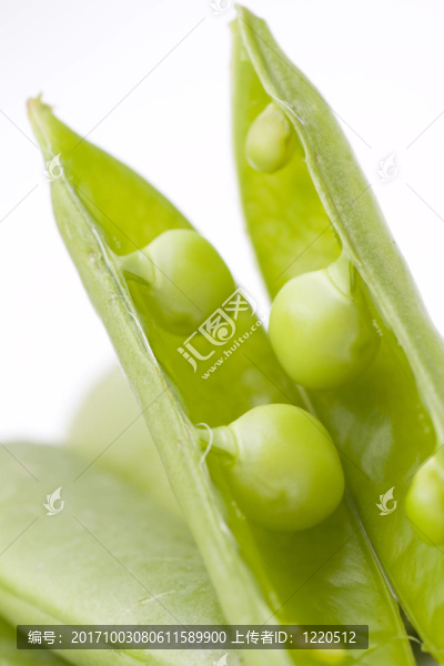 綠色蔬菜
