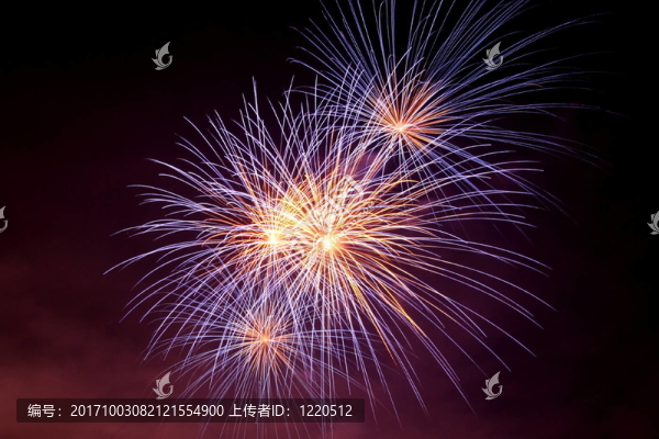 煙花-明星夢2009
