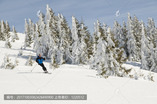 skiabfahrt3