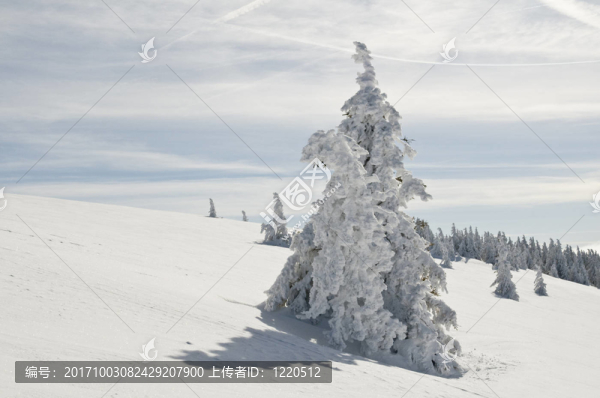 winter200933