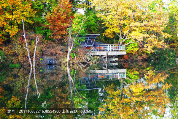 湖岸觀景臺(tái)彩林