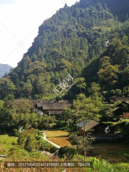 山林,樹林