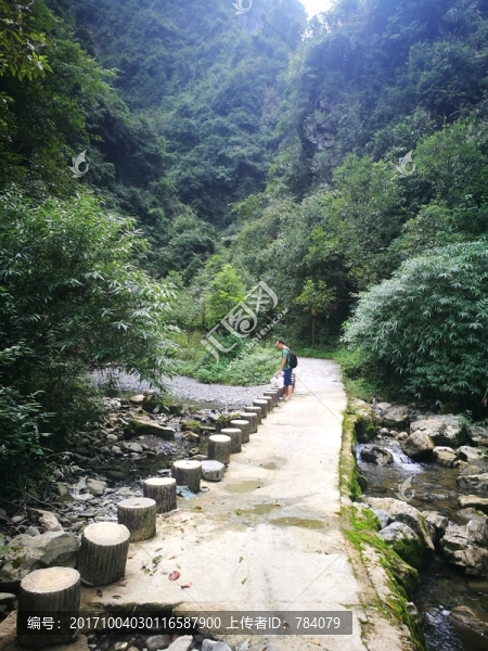 山林,樹林