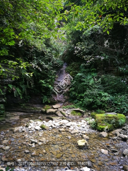 小溪,河流