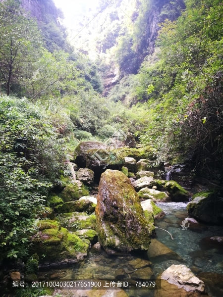 夯沙