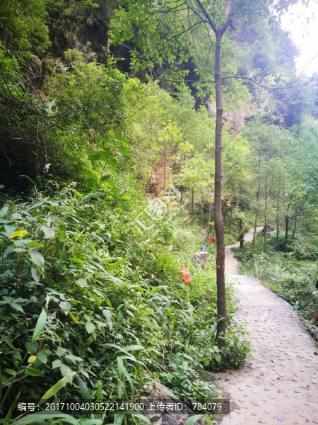 夯沙風(fēng)景