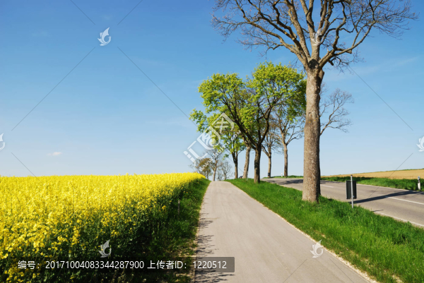場(chǎng)