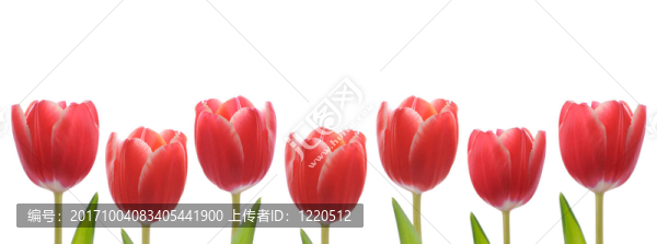 孤立的