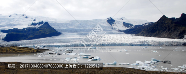 fjallsarlon