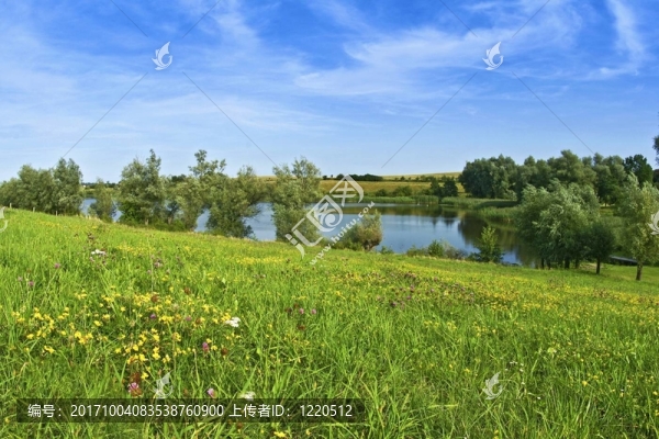 夏天的草地