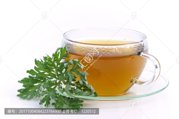 茶蒿-茶苦艾04