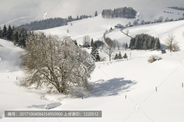 winter200937