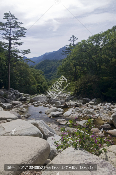 雪岳山國(guó)家公園，韓國(guó)