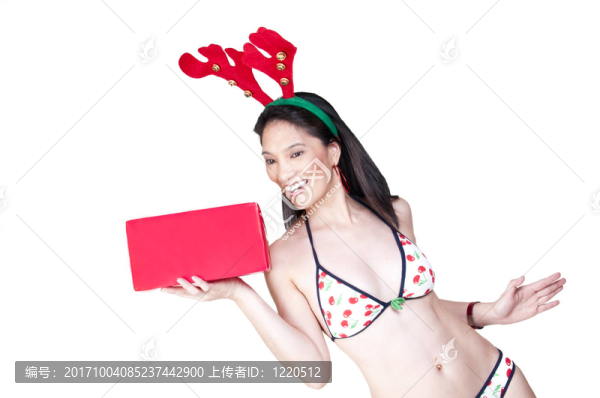 性感的圣誕