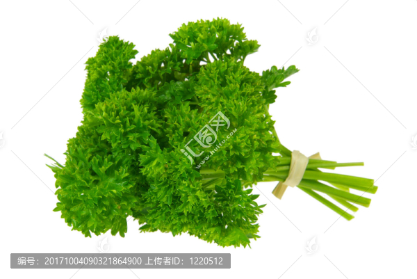 歐芹-歐芹14